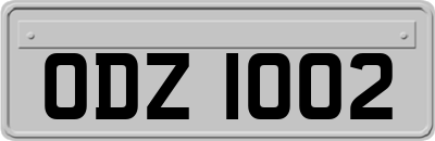 ODZ1002