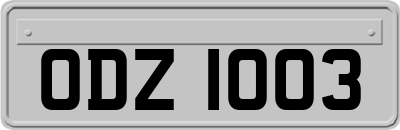 ODZ1003