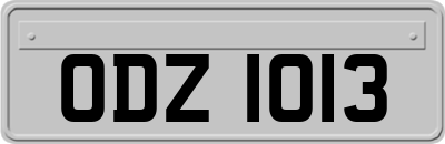 ODZ1013