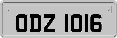 ODZ1016