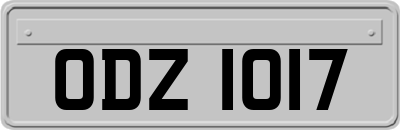 ODZ1017