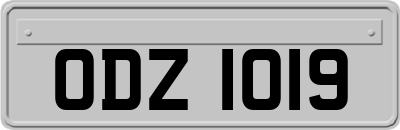 ODZ1019