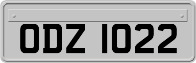 ODZ1022
