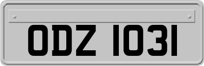 ODZ1031