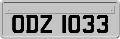 ODZ1033