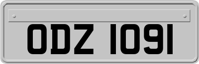 ODZ1091