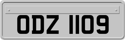ODZ1109