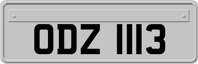 ODZ1113