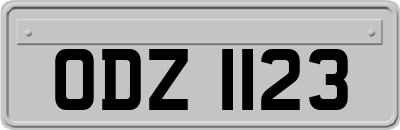 ODZ1123