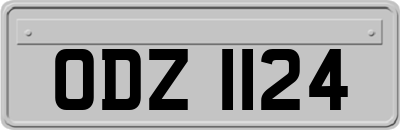 ODZ1124