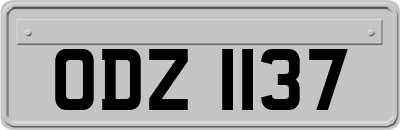ODZ1137
