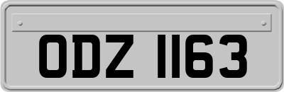 ODZ1163