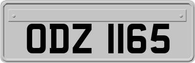 ODZ1165