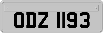 ODZ1193