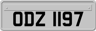 ODZ1197