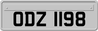 ODZ1198