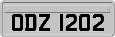 ODZ1202