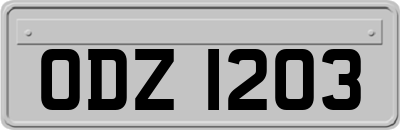 ODZ1203