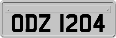ODZ1204