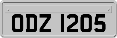 ODZ1205