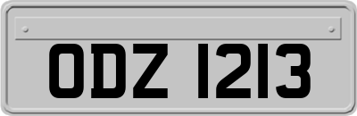 ODZ1213