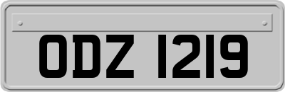 ODZ1219
