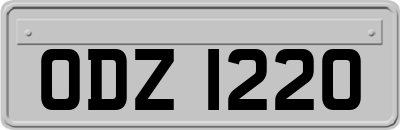 ODZ1220