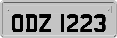 ODZ1223