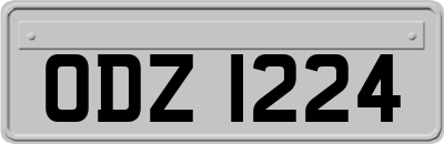 ODZ1224
