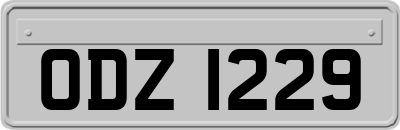 ODZ1229