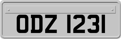 ODZ1231