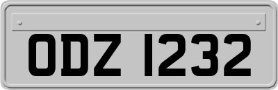 ODZ1232