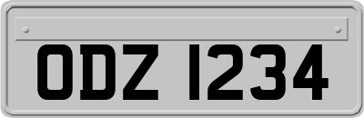 ODZ1234