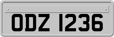 ODZ1236