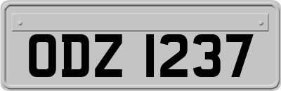 ODZ1237