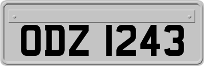 ODZ1243