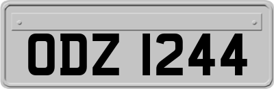 ODZ1244