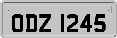 ODZ1245