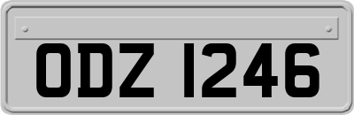 ODZ1246