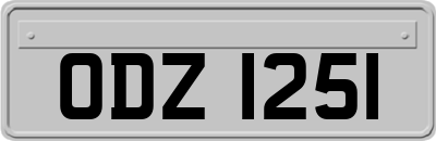 ODZ1251