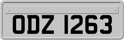 ODZ1263