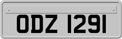 ODZ1291