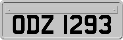 ODZ1293