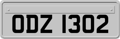 ODZ1302