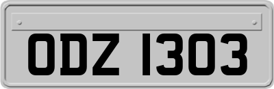 ODZ1303