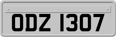 ODZ1307