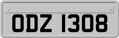 ODZ1308