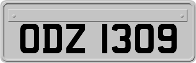 ODZ1309