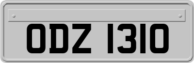 ODZ1310