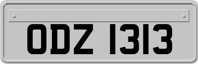 ODZ1313
